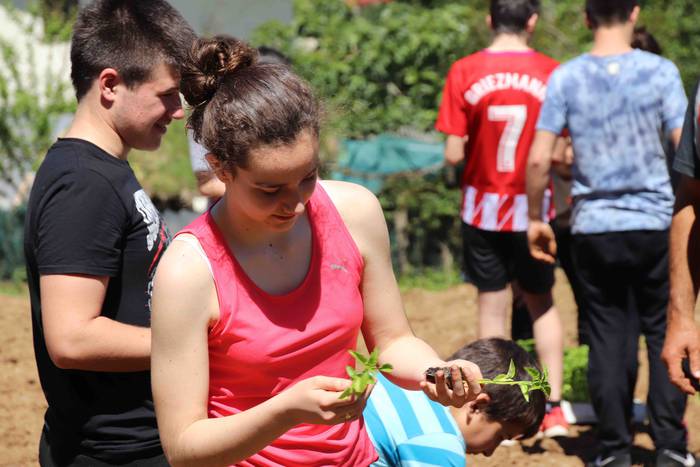 Erein dituzte lehen piperrak 19 1559303469566