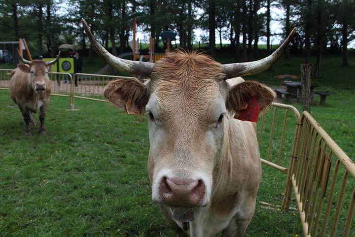 Maiatzak 1, Larre Irekiera E 2 1525186935733