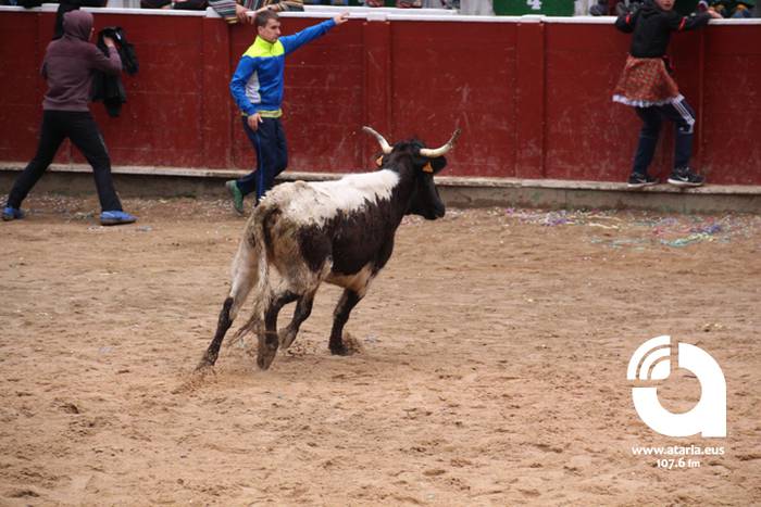 Zezenak adarrak okerrak ditu 81 1488277622954