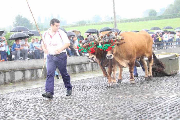 Zizurkil festak 2018 xiba et 33 1534452716611