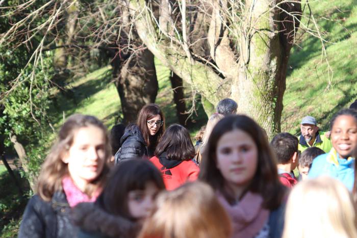 Tolosako ikasleek zuhaitzak  31 1520435616631