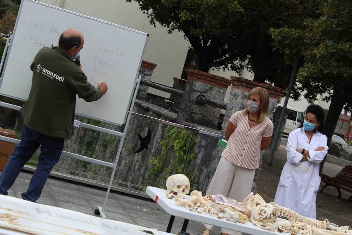 Altzoko Handiaren hezurrak e 8 1599317718469