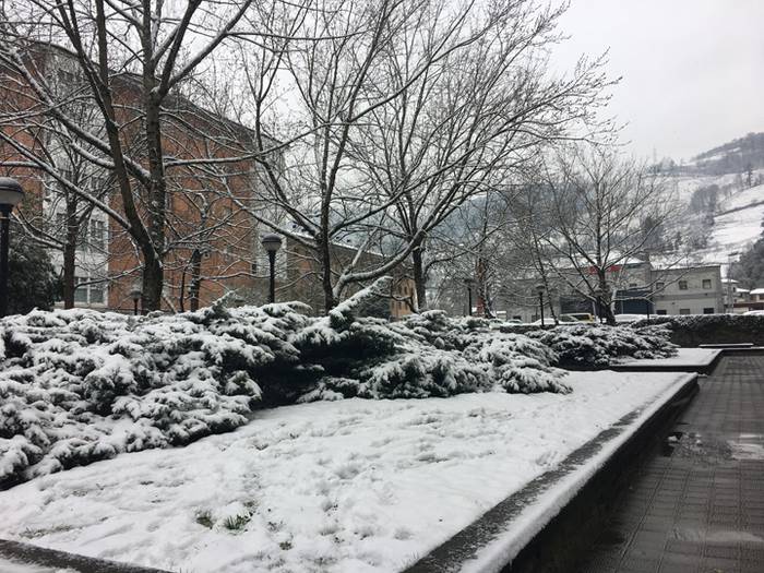 Argazki galeria: Tolosaldea, 54 1519809996133