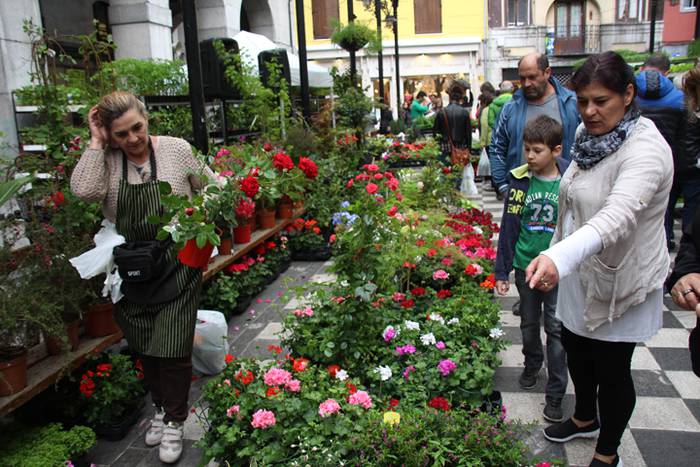 Eta liliek Tolosa ere amets 29 1495290365420