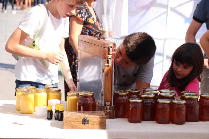 "Ibarra, Azoka eta Piparra" 69 1537103494500