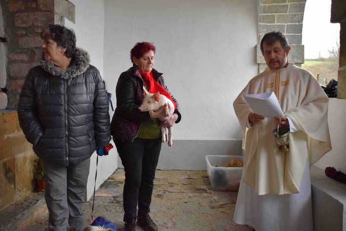 San Anton eguna Berastegin 2 3 1579262689697