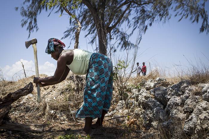 Berri txarrak Mozambike iparraldetik