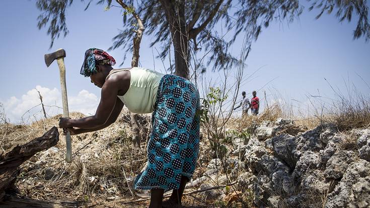 Berri txarrak Mozambike iparraldetik