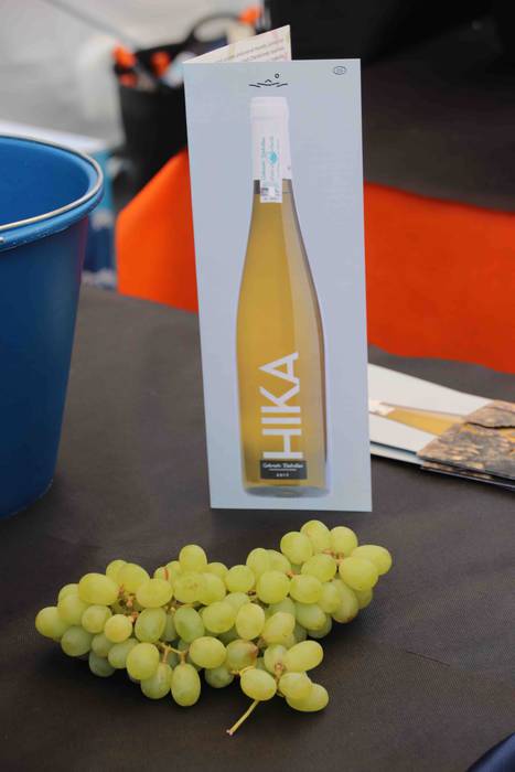 III. Gure Ardo Txuri azoka 12 1555156707476