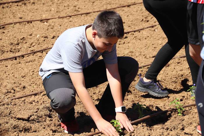 Erein dituzte lehen piperrak 12 1559303464844