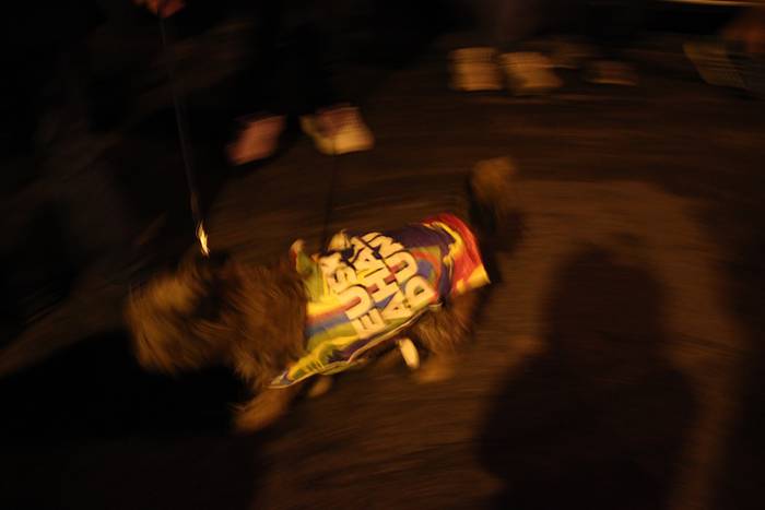 Korrika Tolosa igandea 3 1427107740812