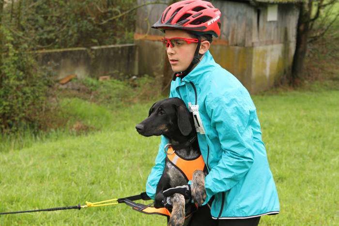 Zizurkil, txakur krosa 6 1490473837878