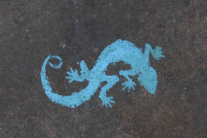 Muskerraren Bidea egin dute  18 1609069173579