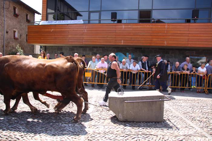 Idi erakustaldia Asteasuko p 25 1494859939097