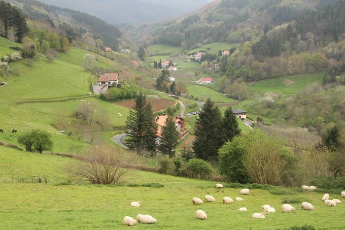 Itzulia 'Leaburuko Purito'-r 3 1491414757370