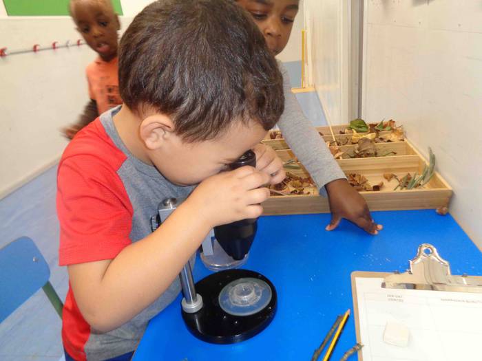 Fleming Herri Eskola, eskola 34 1547057998729