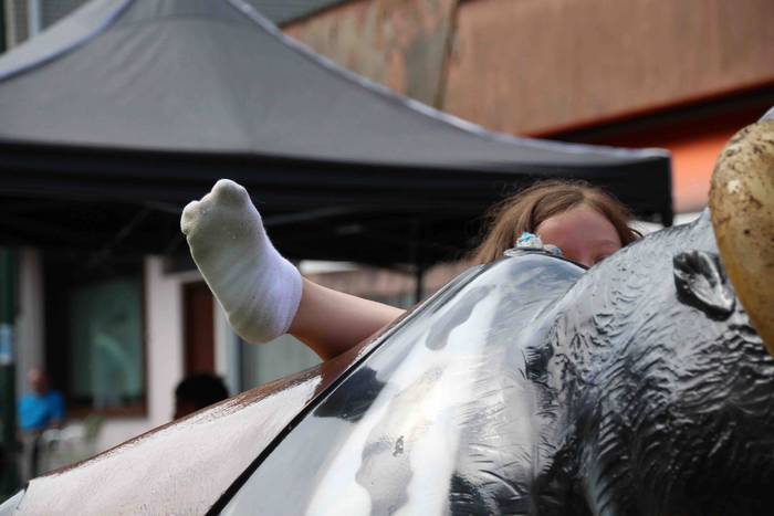 Dena kabitzen da auzoko karp 2 1530359036184