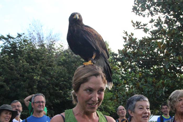 2016 bidea 30 1471775958820