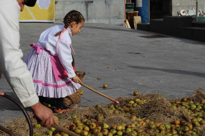 Auzolanaren fruitu, azoka 45 1541961197426