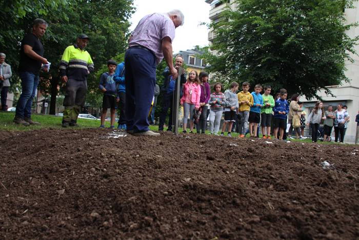 Aurtengoa, biolinak gozatua 20 1497265053077