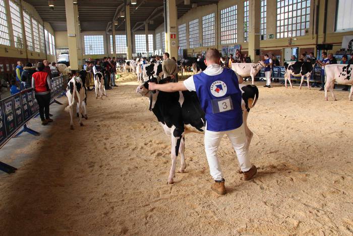 X. Euskal Herriko Frisoi Txa 5 1542479366830