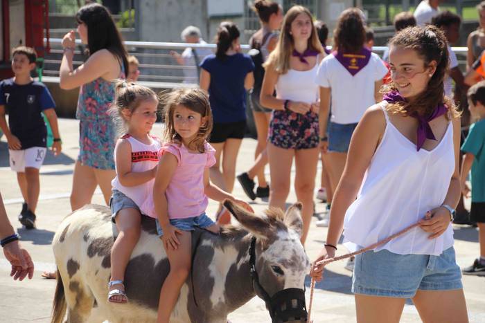 Festak hasteko, poniak eta z 43 1566994001233