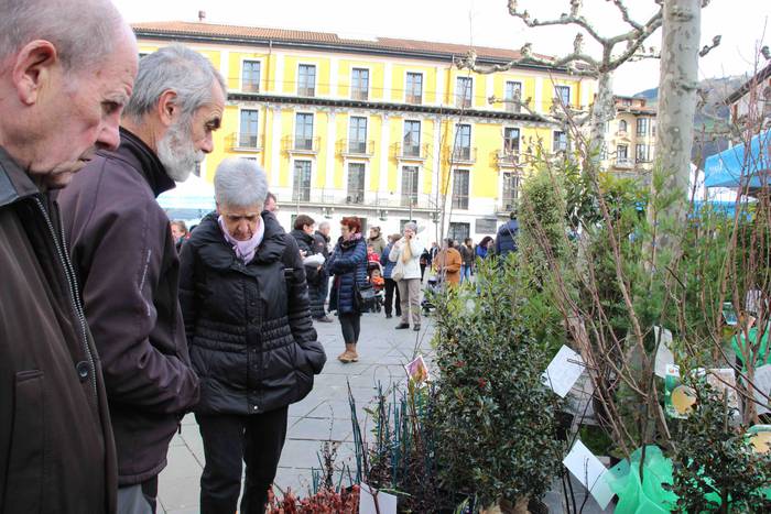 Tolosako Lore eta Landare Az 6 1549717195975