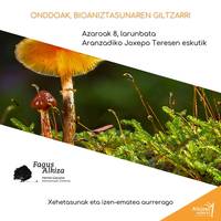 [BERTAN BEHERA] Irteera