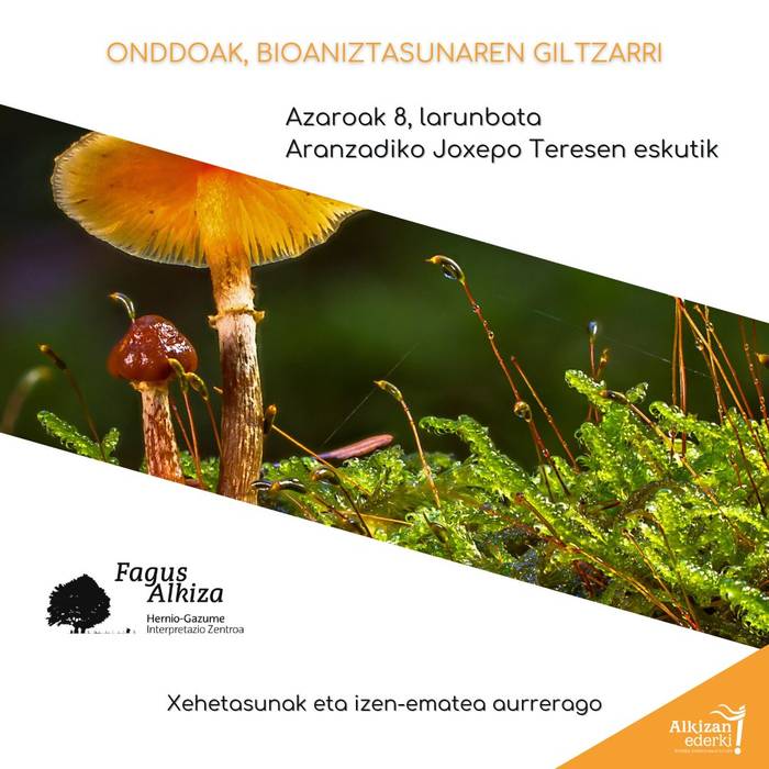 [BERTAN BEHERA] Irteera