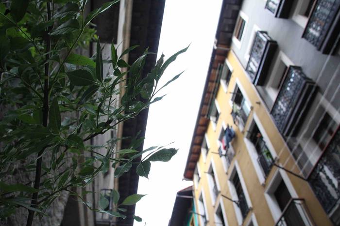 udaberri 24 32 1529828177752