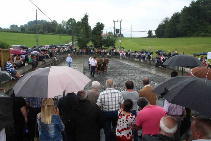 Zizurkil festak 2018 xiba et 37 1534452781040
