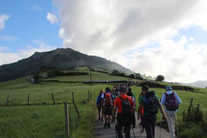 2016 bidea 30 1471775963483