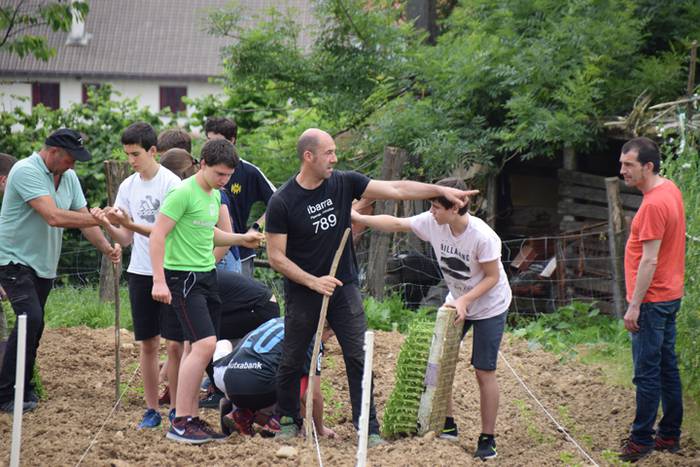 Ibarrako piperrak landatzen, 43 1527075854832