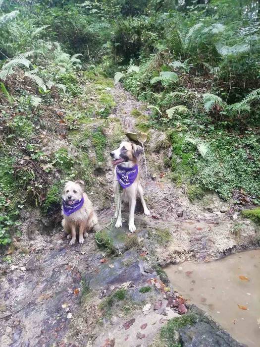 Mendiz Mendi Etxera 2020 7 1600693923791