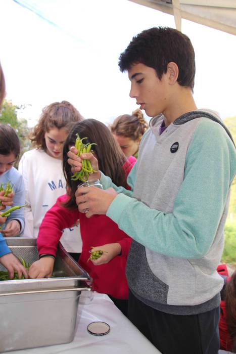 Piperraren zikloa 2015 24 1445442220016