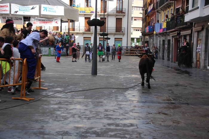 Soka zintzilik eta muturrak  22 1646140694968