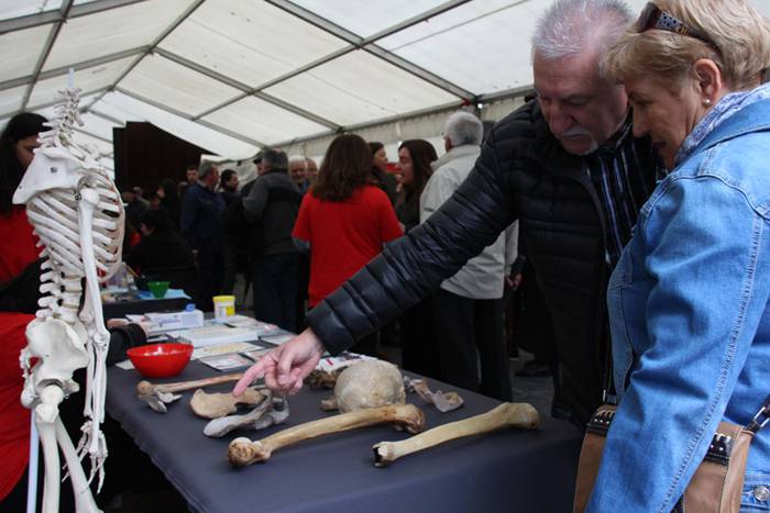 Lanbide azoka Tolosan 2016 1 1462016462905