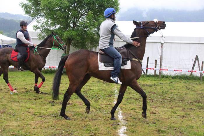 Izaskungo festetako zaldi lasterketa 2016 1 1463247008432