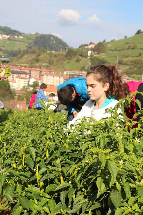 Piperraren zikloa 2015 14 1445442215759