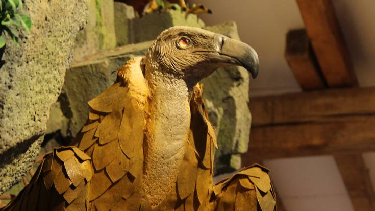 'Harkaitzetako bizilagunak' bisita gidatua egingo dute Alkizan