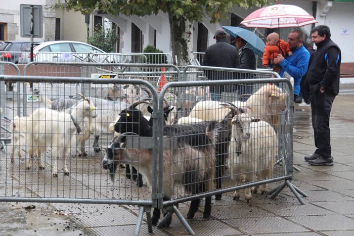 Larrunarri dotore jantzi dut 2 1509893955533