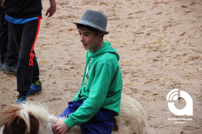 Zinbuluka ta zanbuluka 43 1487957814885