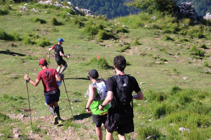 T3T, Hernio 2019 77 1560688443928