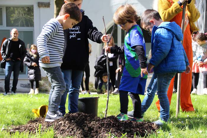 intxaurrondoa landatu villab 18 1647095073779