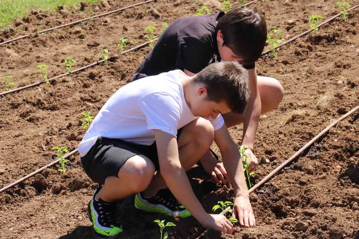 Erein dituzte lehen piperrak 29 1559303477642