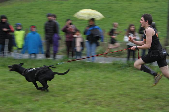 Zizurkil, txakur krosa 33 1490473991729