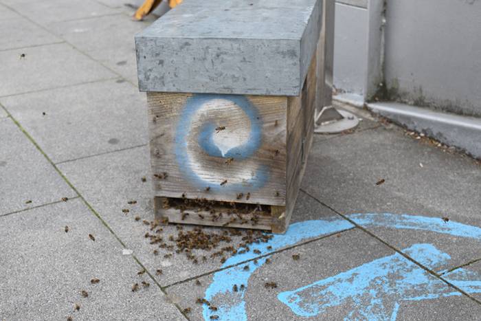 20.000 erle inguru Usabalen 10 1493910710633