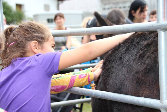 Hutsik egiten ez duen azoka berezia 26 1474813251440