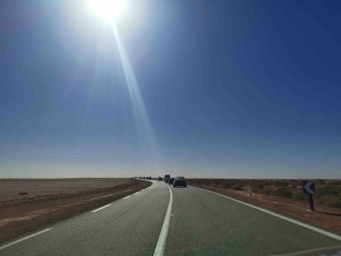 Basamortuaren erdian, helbur 11 1638889769934