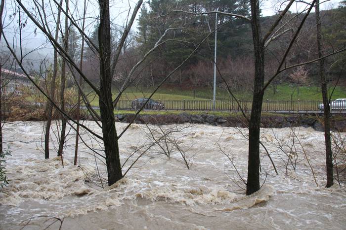 Astelehena, gainezka 3 1484560765197